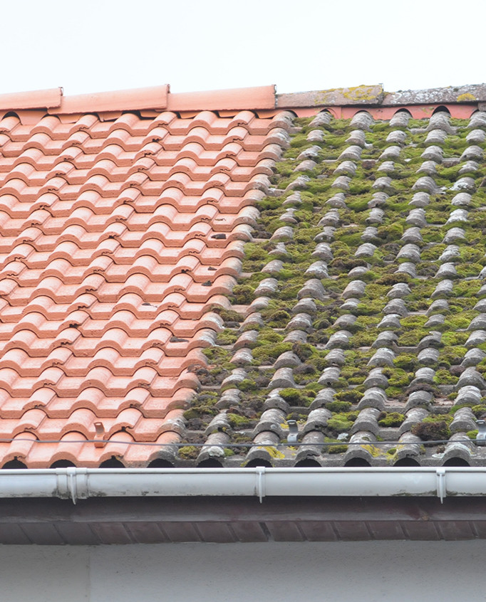 Nettoyage de toiture avec application d'un traitement hydrofuge